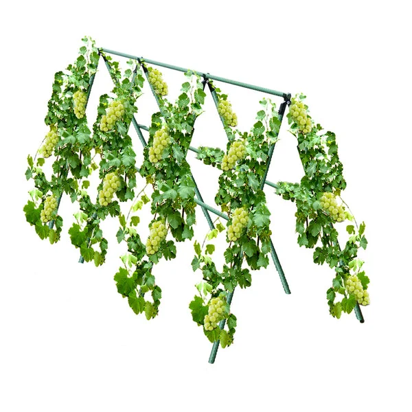 150X120cm Plant Frame Tube Trellis Vegetable Flower Herbs Outdoor Vine Support Adjustable Garden Rack