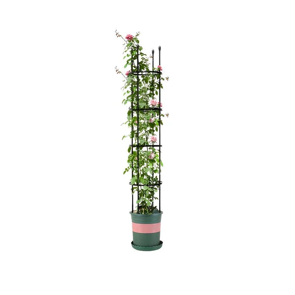 163cm 4-Bar Plant Frame Stand Trellis Vegetable Flower Herbs Outdoor Vine Support Garden Rack with Rings