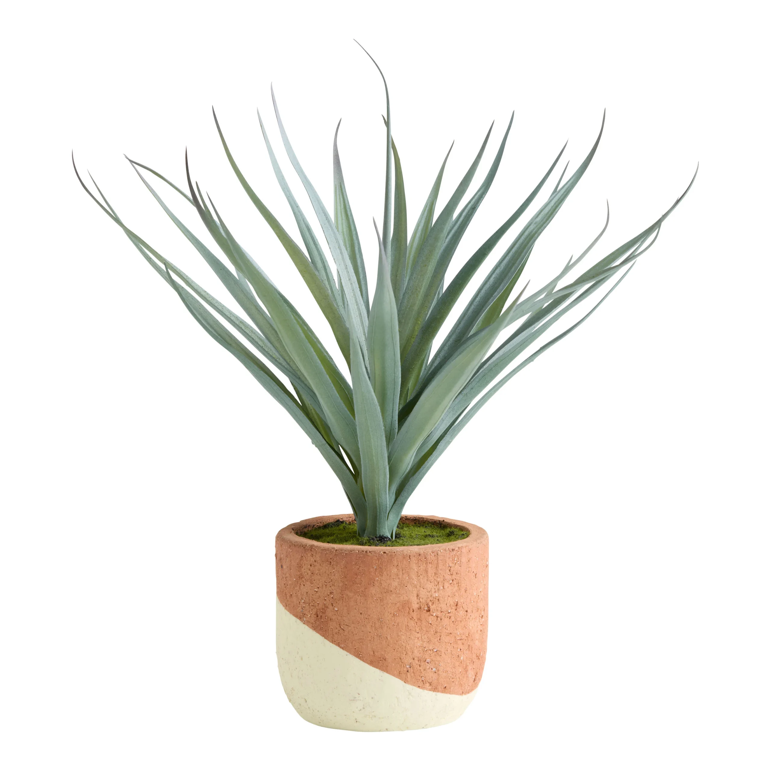 Faux Agave Plant in Ivory and Terracotta Ceramic Pot