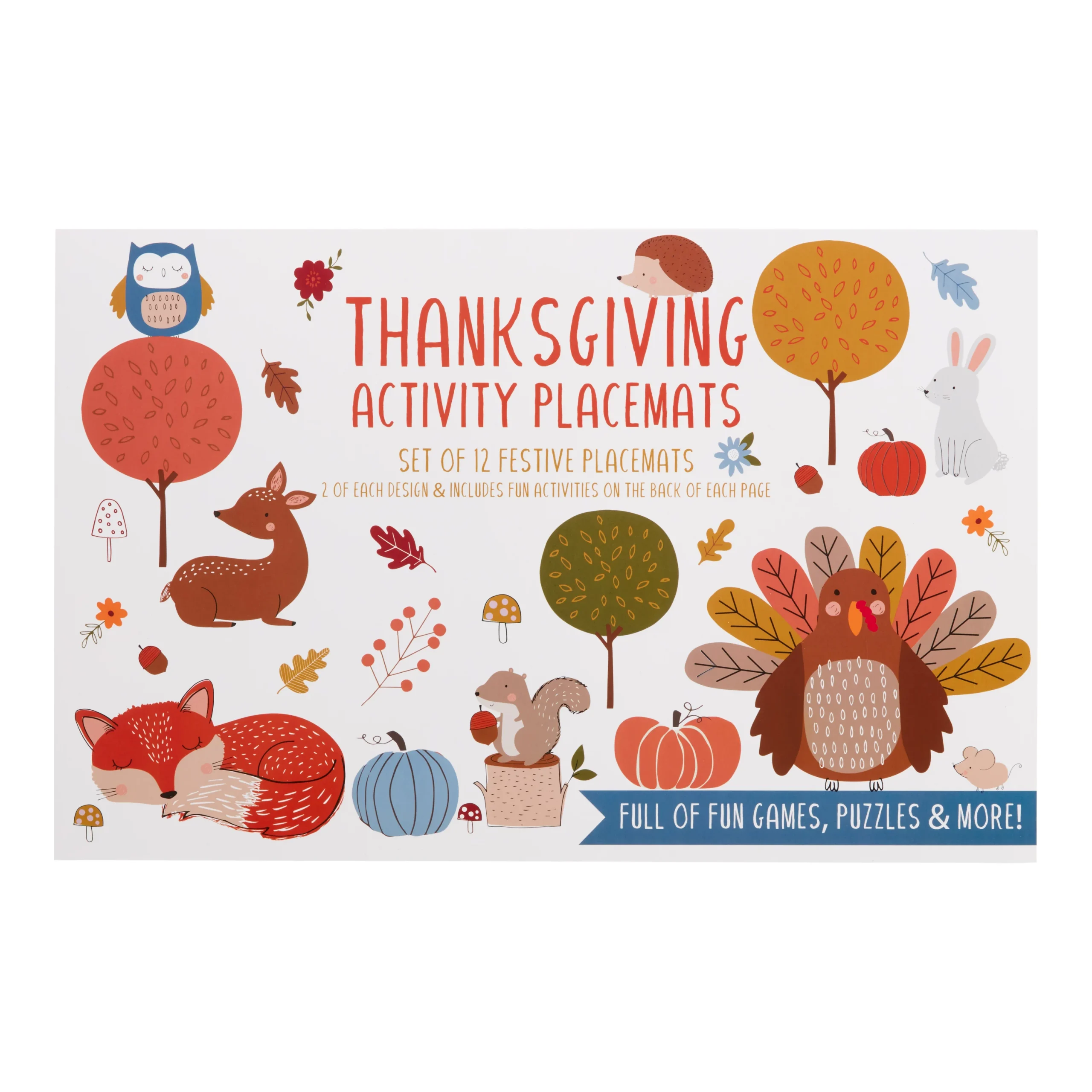 Thanksgiving DIY Activity Placemats 12 Count OLD SKU